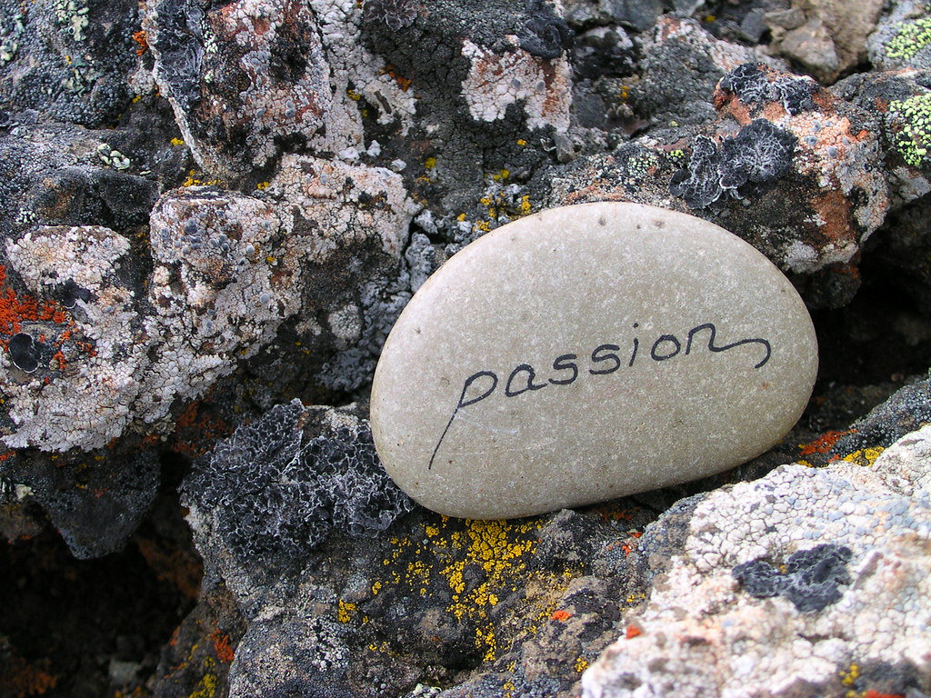 10. Passion ⁢and vision