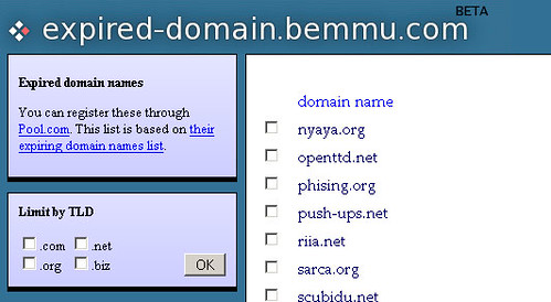 Strategy #2: Buy an Expired Domain Name