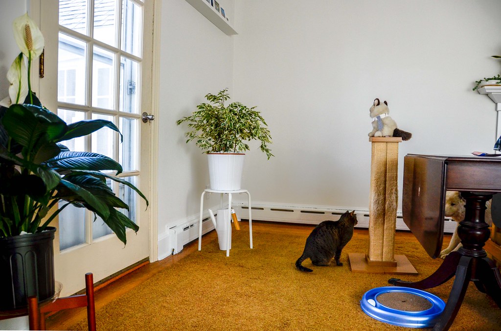 Furnishing units