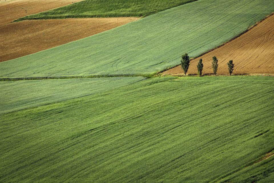 Land acquisition cost