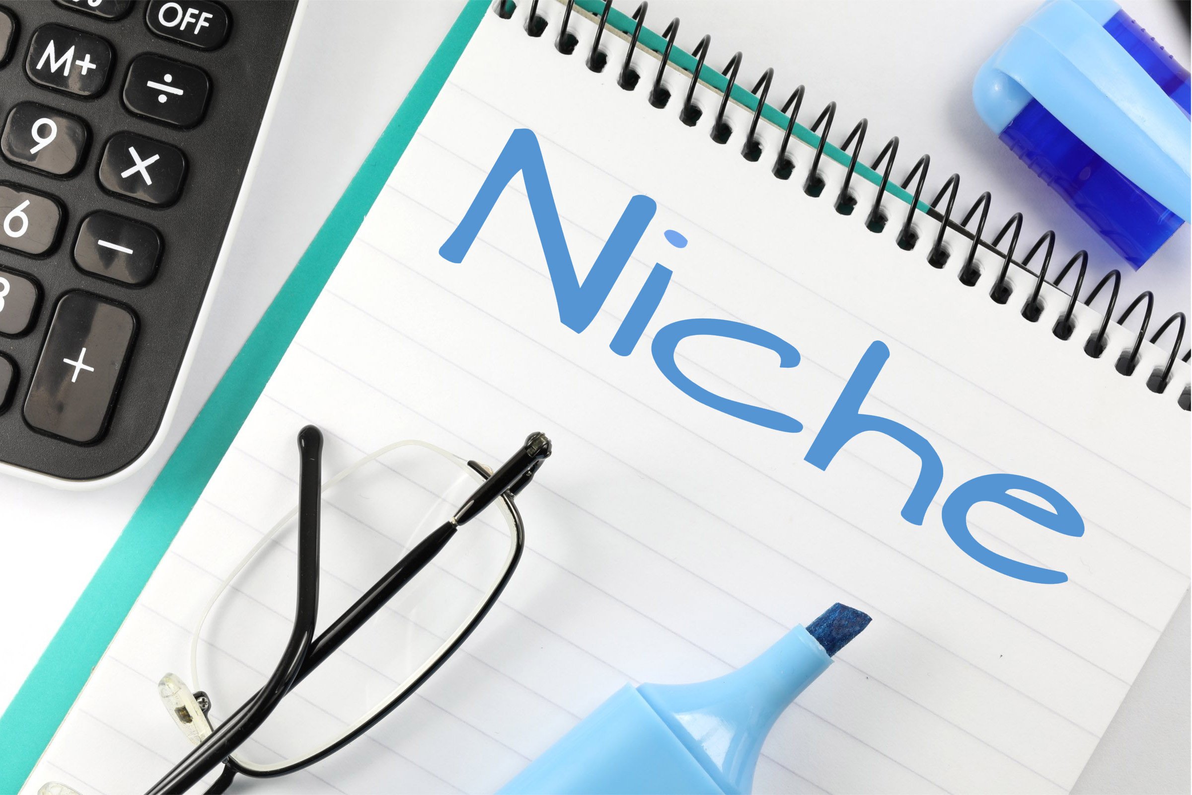 Tip #1: Choose a Niche