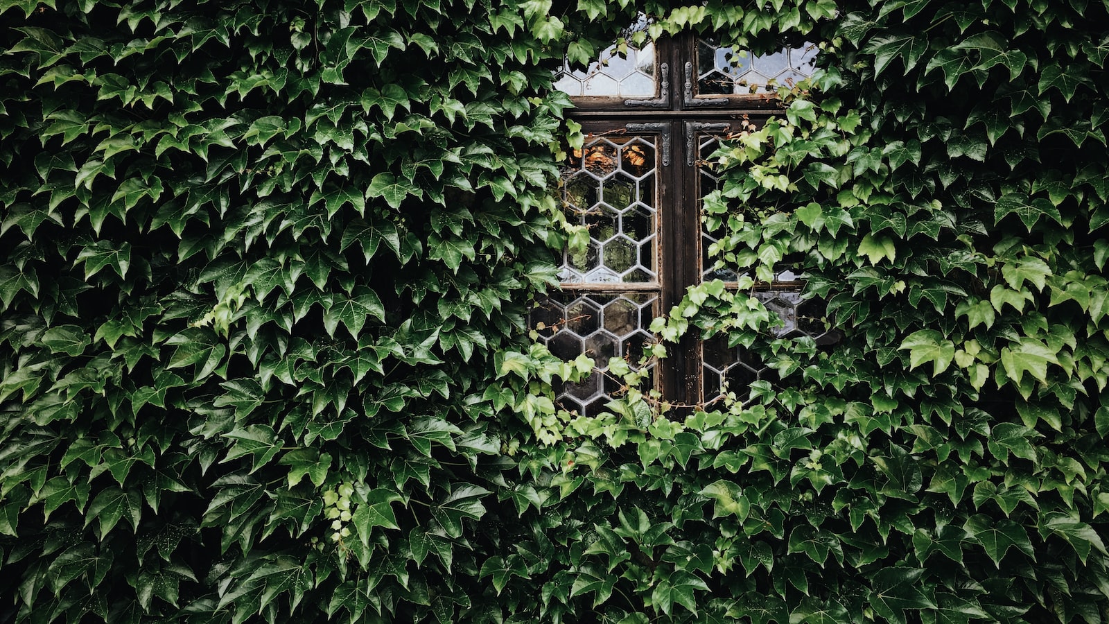 1. Choose a Niche Focus for Your Online Marketplace