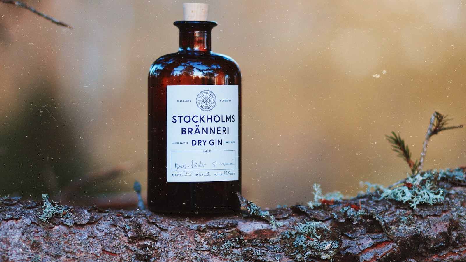 1. ‍Product⁤ Mix and⁤ Supplier Relationships