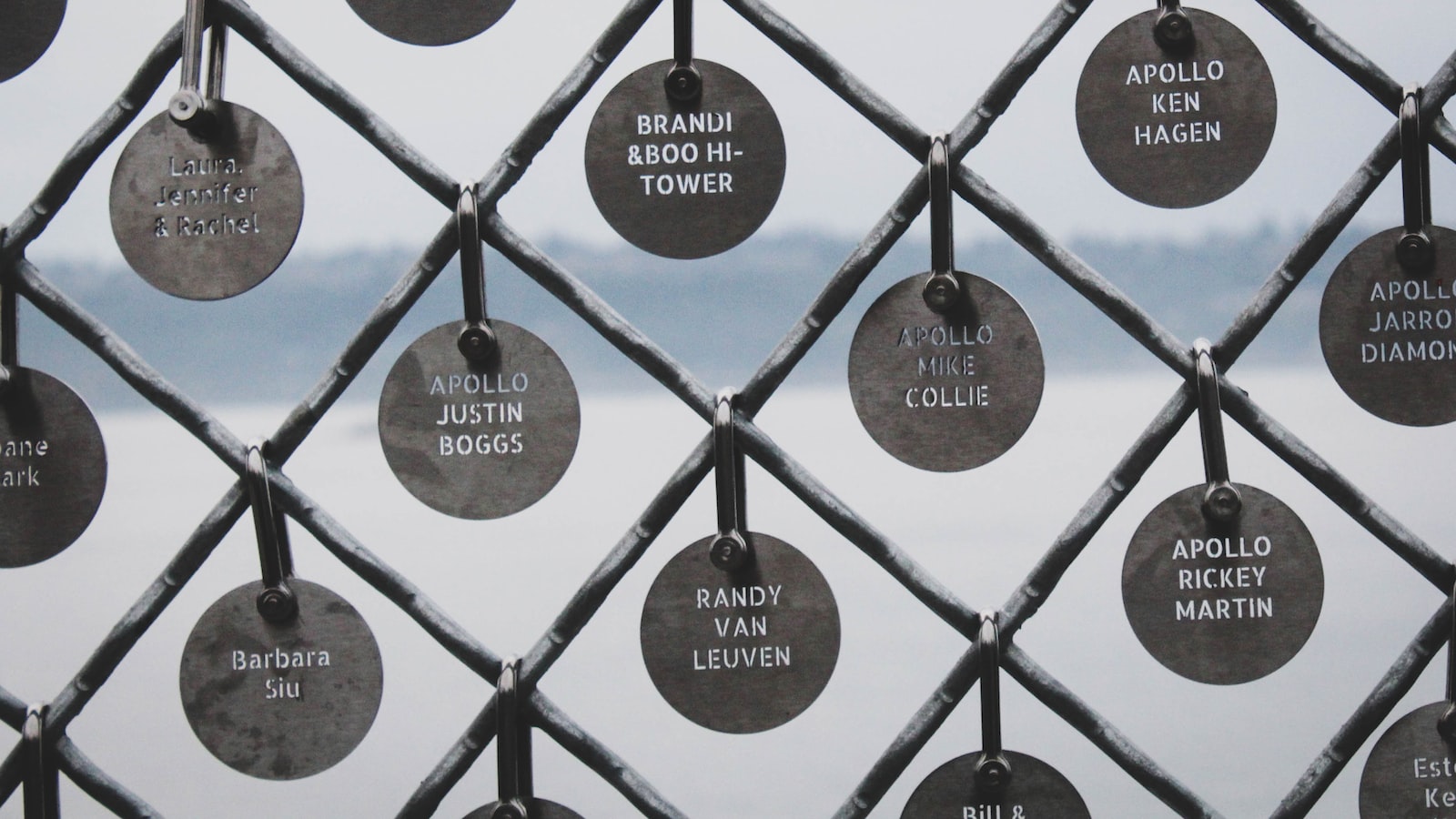 3. Maximizing Profits from Online Domain Name Sales