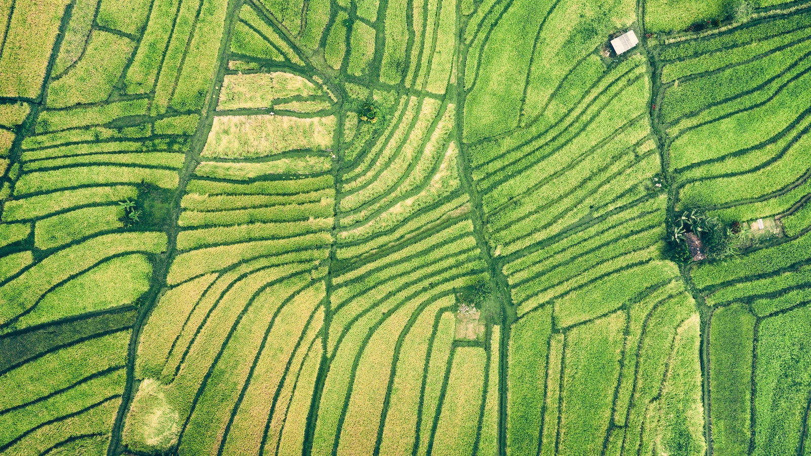 4. Analyze Beyond the Seller's Claims