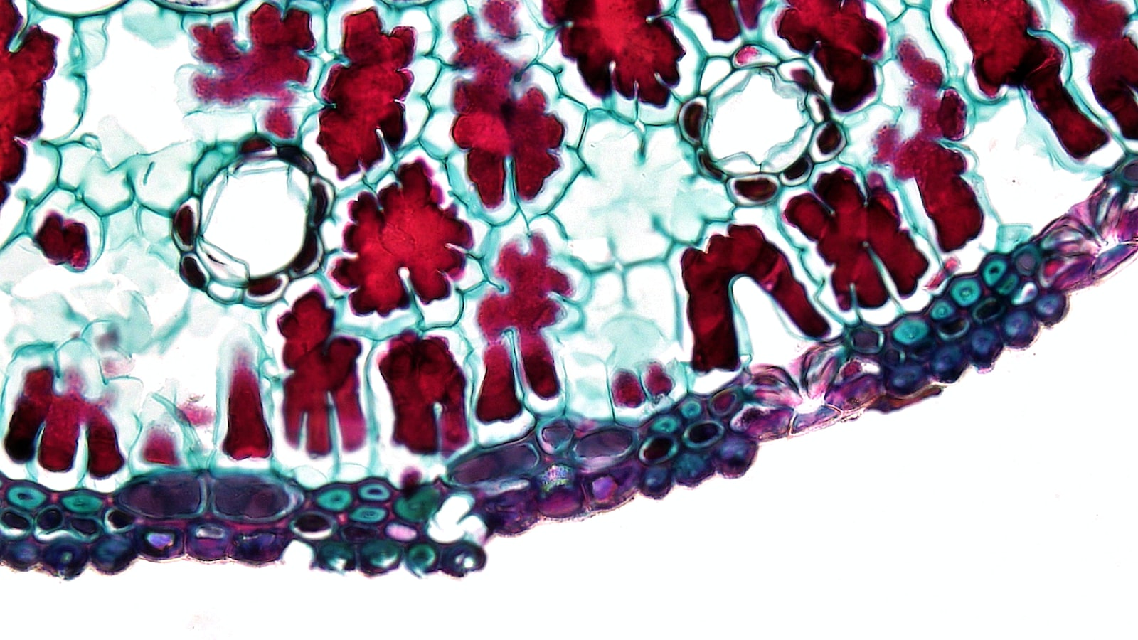 Question #1: What are the annual revenues‍ and profits?